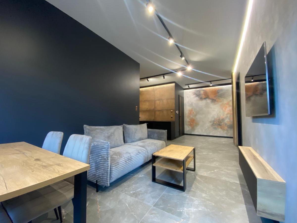 Industrial Vistula Apartment Free Parking & Gym 克拉科夫 外观 照片